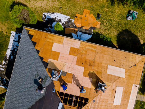 Best New Roof Installation  in Vla Grove, IL