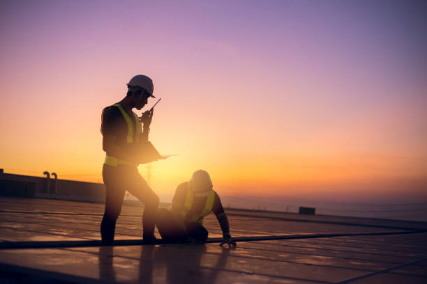 Best Emergency Roof Repair  in Vla Grove, IL