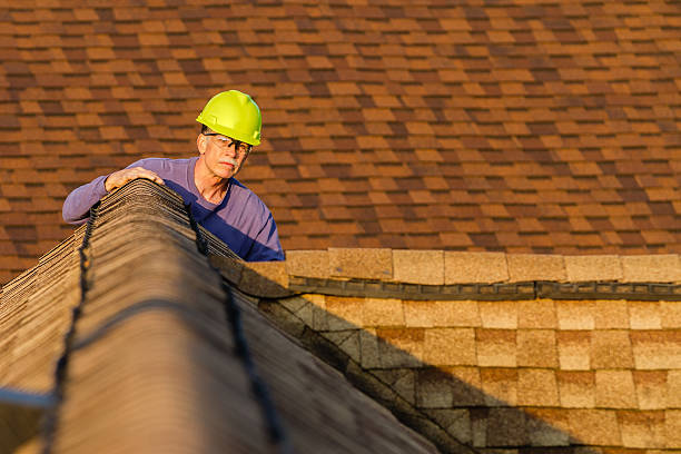 Best New Roof Installation  in Vla Grove, IL
