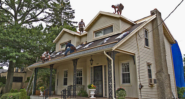 Best Roof Restoration Services  in Vla Grove, IL