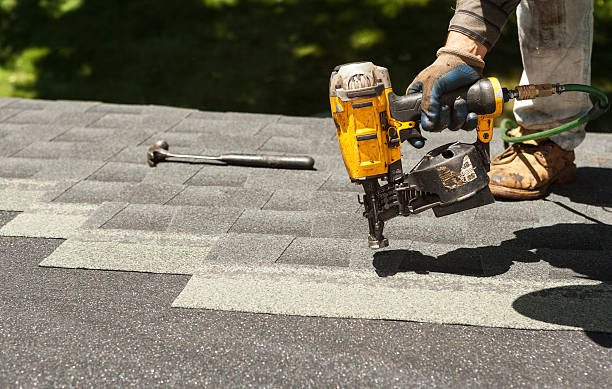 Best Roof Repair Services  in Vla Grove, IL