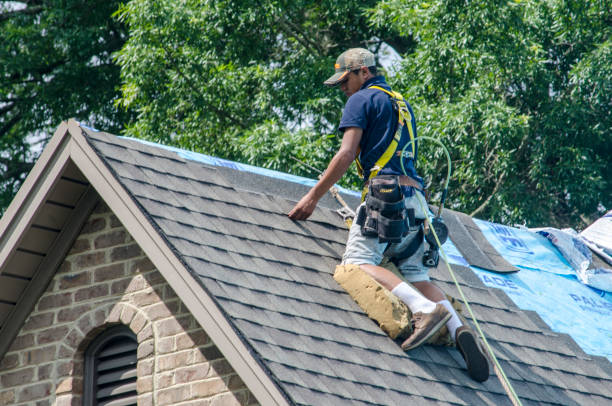 Best Slate Roofing Contractor  in Vla Grove, IL